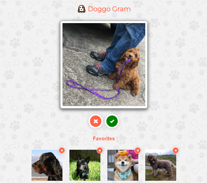 Screen shot of dog fav application.