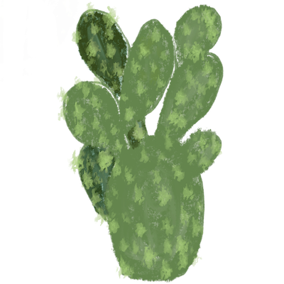 green cactus in shape of nopalitas